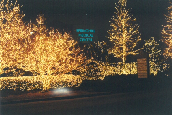 SMC Christmas Lights