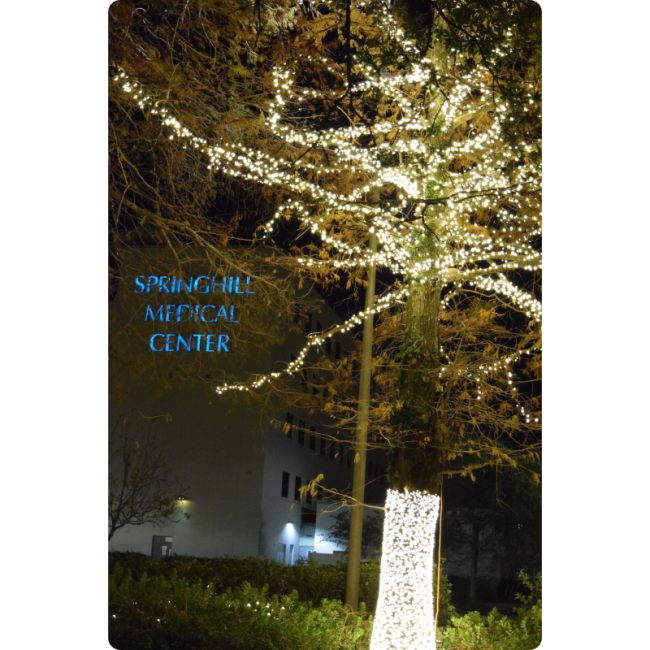 2025 Christmas Lights